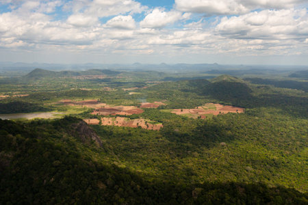 Top view of farm fields with agricultural plants in a valley among mountains and hills. Rural landscape. Sri Lanka.の写真素材