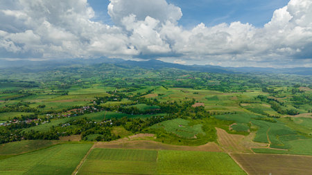 Aerial view of farmland and fields with ripening crops in the countryside against the backdrop of mountains. Negros, Philippinesの写真素材
