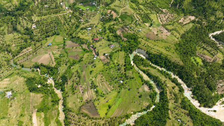 Aerial view of farm and agricultural land with crops in the mountainous area. Cebu island, Philippines.の写真素材