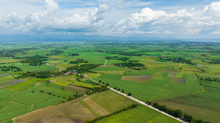 Top view of farmland with rice fields and sugarcane. Negros, Philippinesの写真素材