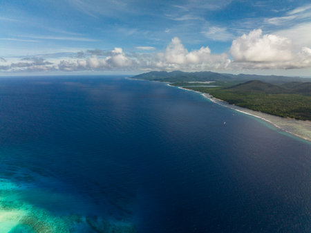 Aerial drone of coast of a tropical island covered with forest. Balabac, Palawan. Philippines.