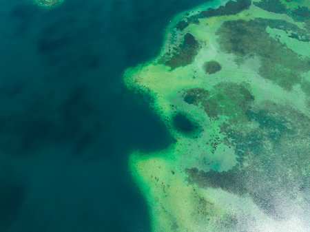 Sea water surface with coral reef copy space for text.の写真素材