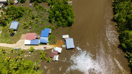 Aerial view of jungle and mangroves in wetlands. Menumbok forest reserve. Borneo, Sabah, Malaysia.の写真素材