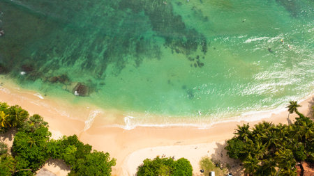 A bay with a Hiriketiya beach among palm trees. Surf spot in Sri Lanka.の写真素材