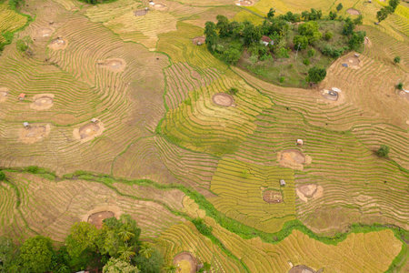 Vew from above off Agricultural lands and rice fields in a mountain valley. Sri Lanka.の写真素材