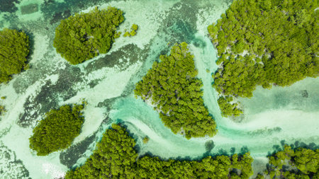 Aerial view of islands in a beautiful lagoon. Tropical landscape. Bantayan island, Philippines.の写真素材