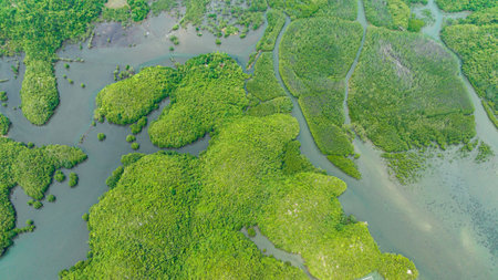 Aerial drone of tropical islands and bays. Seascape with lagoons and cove. Sipalay, Negros, Philippines.の写真素材