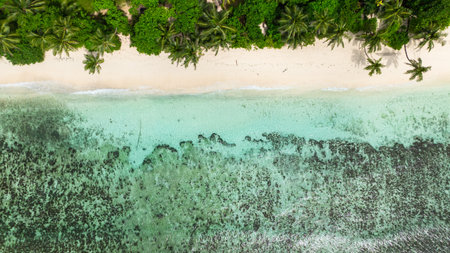 A stunning aerial view of a tropical coastline with crystal-clear waters, white sand, and palm trees along the shore. Mahe, Seychelles.の写真素材