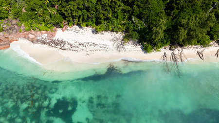 An unspoiled beach featuring soft white sands and vivid turquoise waters, embraced by a dense tropical forest.の写真素材