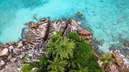 Island covered with lush greenery and jagged granite rocks. St Pierre Island. Seychelles.の写真素材