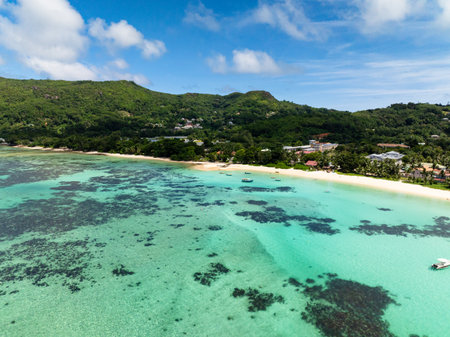 Tropical beach with palm trees. Seychelles, Mahe Island.の写真素材