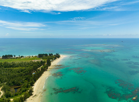 Aerial view of tropical beach with palm trees and a blue ocean. Borneo, Malaysia.の写真素材