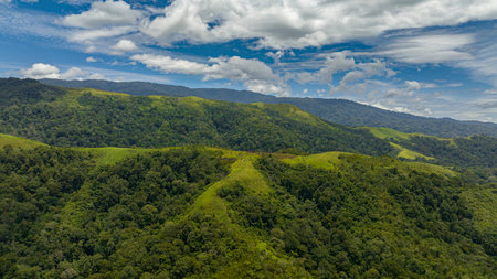 Aerial drone of mountain slopes covered with rainforest and jungle. Sumatra, Indonesia.
