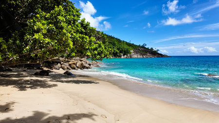Quiet sandy beach with clear turquoise water, surrounded by lush green foliage and rocky formations. Seychelles, Mahe. Anse Major.の写真素材