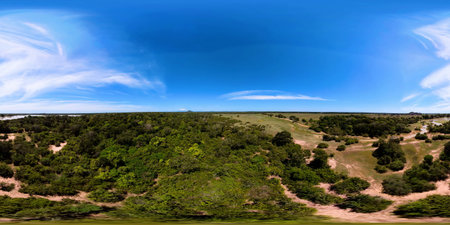 A national park in Sri Lanka with rainforest and savannah. Virtual Reality 360.