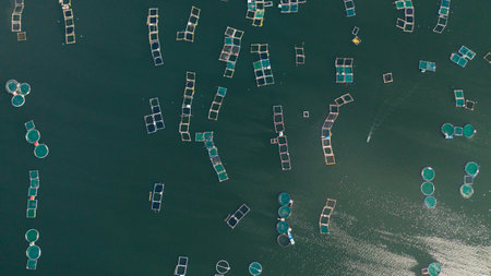 Fish ponds for bangus, milkfish. Farming aquaculture or pisciculture practices. Philippines, Luzon.