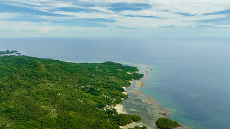 Aerial drone of coastline of the island with jungle and beaches. Negros, Philippinesの写真素材