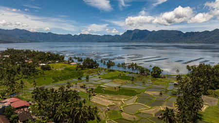Village among rice fields and farmland. Lake Maninjau. Sumatra, Indonesia.の写真素材