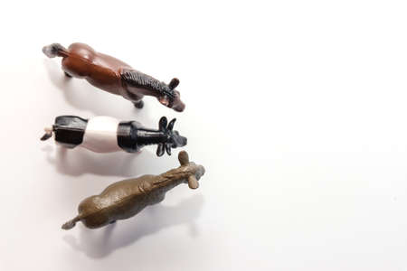 Plastic figurine of livestock. Toys of farm animals: donkey, cow, horse. View from above. Protection of the animal. Isolated children's toyの写真素材