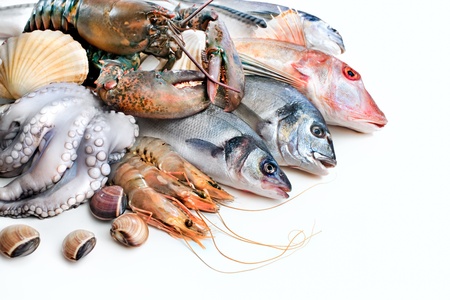 Fresh catch of fish and other seafoodの写真素材