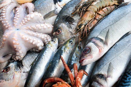 Fresh catch of fish and other seafood