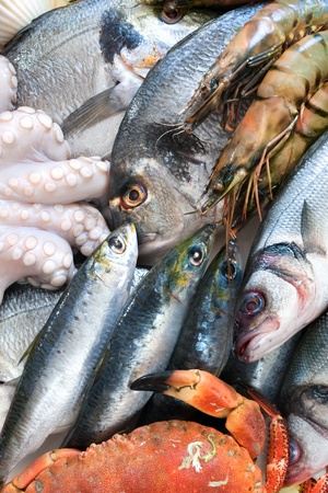 Fresh catch of fish and other seafoodの写真素材