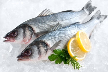 Seabass  Dicentrarchus labrax  on ice at the fish market の写真素材