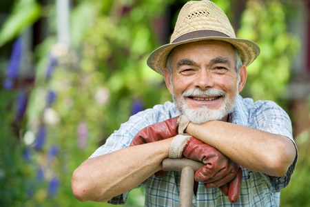 Senior gardener with a spade in the garden