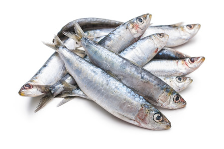 Fresh raw sardines isolated  on white backgroundの写真素材