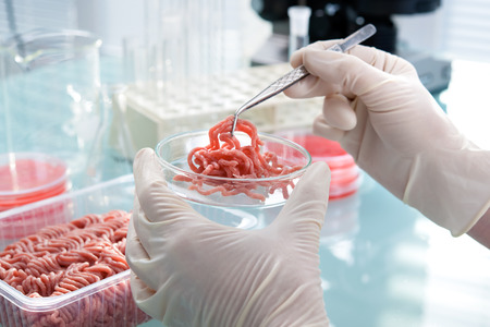 Food quality control expert inspecting at meat specimen in the laboratoryの写真素材