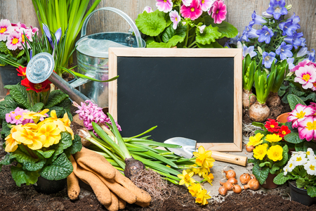 Gardening tools and flowers with a blank board for your textの写真素材