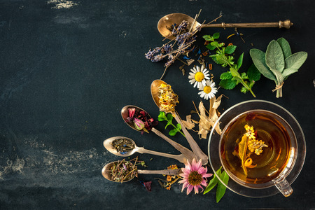 Cup of herbal tea with wild flowers and various herbsの写真素材