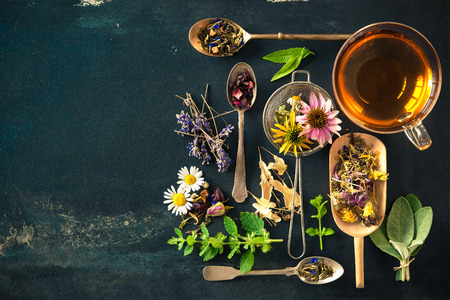 Cup of herbal tea with wild flowers and various herbsの写真素材