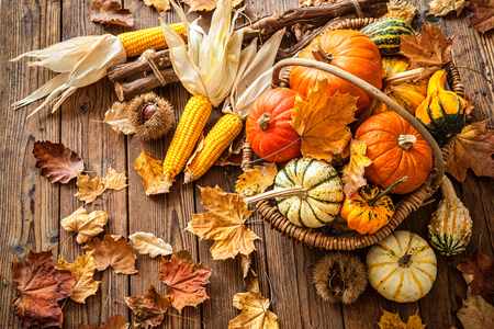 Autumn still life with pumpkins, corncobs and leaves on wooden backgroundの写真素材