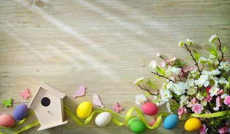 Easter background with colorful eggs and spring flowers. Top view with copy space