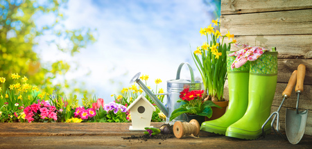 Gardening tools and spring flowers on the terrace in the gardenの写真素材