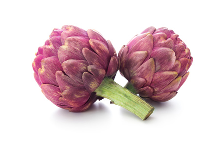 Purple artichokes. Isolated on white backgroundの写真素材