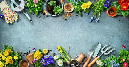 Gardening tools and spring flowers on the terrace in the gardenの写真素材