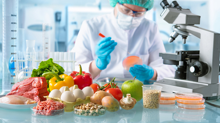 Food quality control expert inspecting specimens of groceries in the laboratoryの写真素材