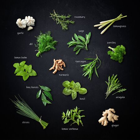 Labeled collection of various fresh herbs and spices on blackの写真素材