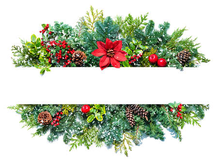 Flat lay winter Christmas composition with fir branches, berries, cones, poinsettia flower isolated on white background. Copy space for textの写真素材