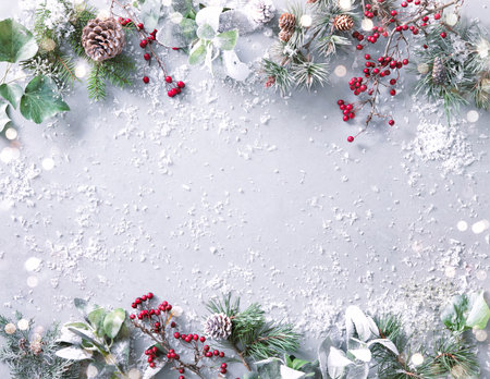 Flat lay composition with winter fir branches, pine cones, evergreen plants and berries on snowy background. Christmas and New year concept. Top viewの写真素材