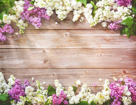 Blooming lilac flowers (syringa vulgaris) on rustic wooden table. Top view banner with copy spaceの写真素材