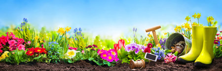 Spring flowers with the gardening tools in the garden in front of blue skyの写真素材