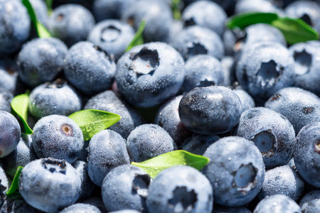 Freshly picked blueberries covered with splashes of cold water. Juicy and fresh blueberries with green leaves on a rustic table. blueberry antioxidant. The concept of healthy food and nutrition.の写真素材