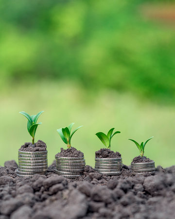 Money growth in soil with green leaves and trees concept, business and farming success finance. agriculture plant seeding growing step concept in gardenの写真素材