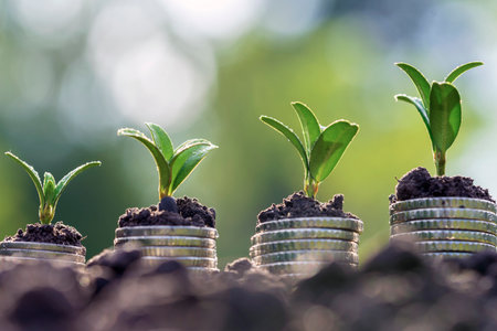 Money growth in soil with green leaves and trees concept, business and farming success finance. agriculture plant seeding growing step concept in gardenの写真素材