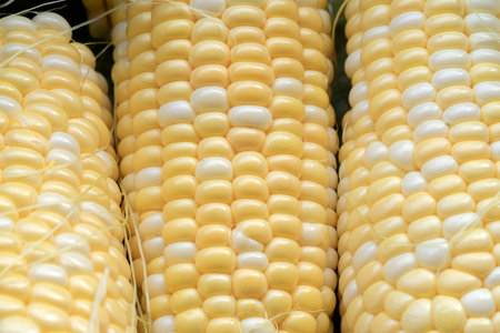 Raw cobs of young corn with leaves on a wooden table.