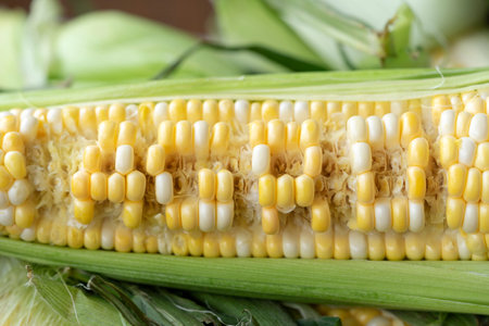 Raw cobs of young corn with leaves on a wooden table. the inscription on the cob "Agro"の写真素材