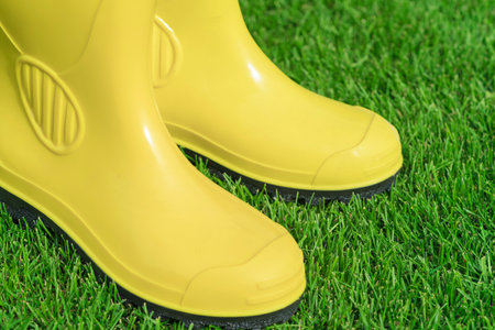 Yellow boots on a green lawn in the garden. Yellow saplings on a background of green grassの写真素材